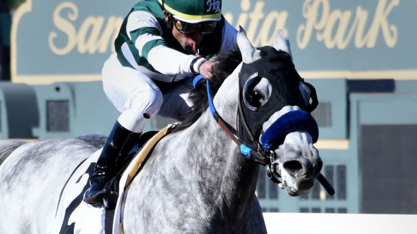 California Racing Board Approves Restrictive Whip Rule for Horse Racing – NBC 7 San Diego