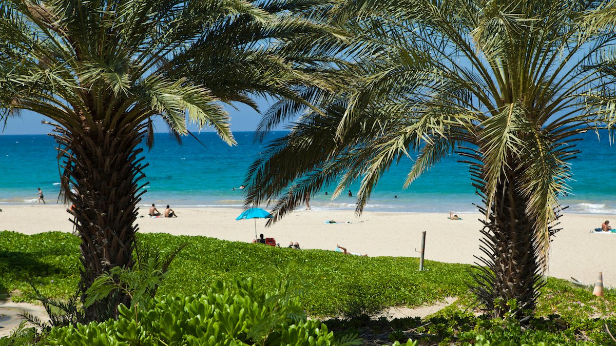 Southwest Airlines Offering Two Additional Flights to Hawaii NBC 7