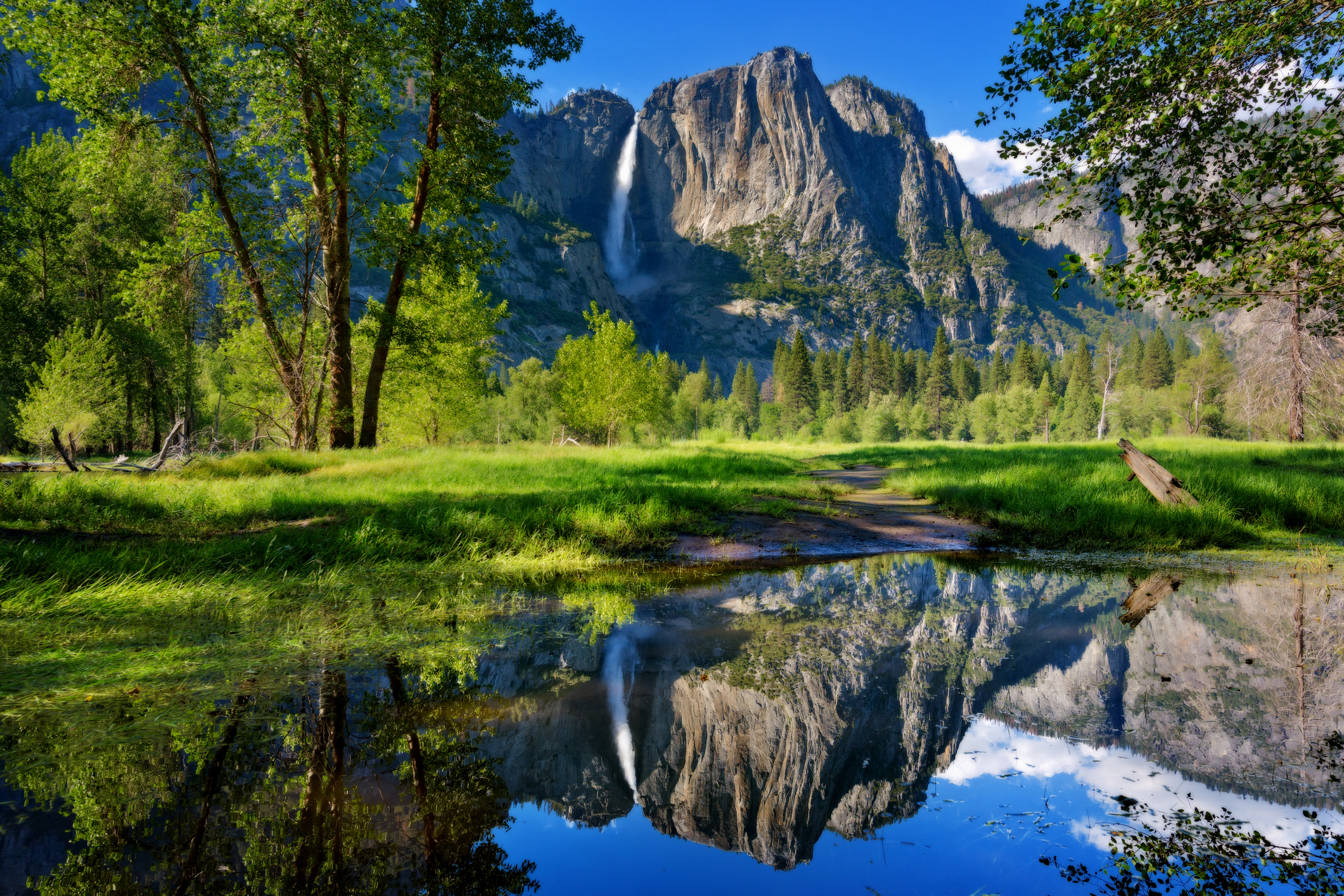 Yosemite Falls reflected perfectly in outlet of Merced River by Swinging Bridge, Yosemite National Park, California. Photo: Anna Gorin