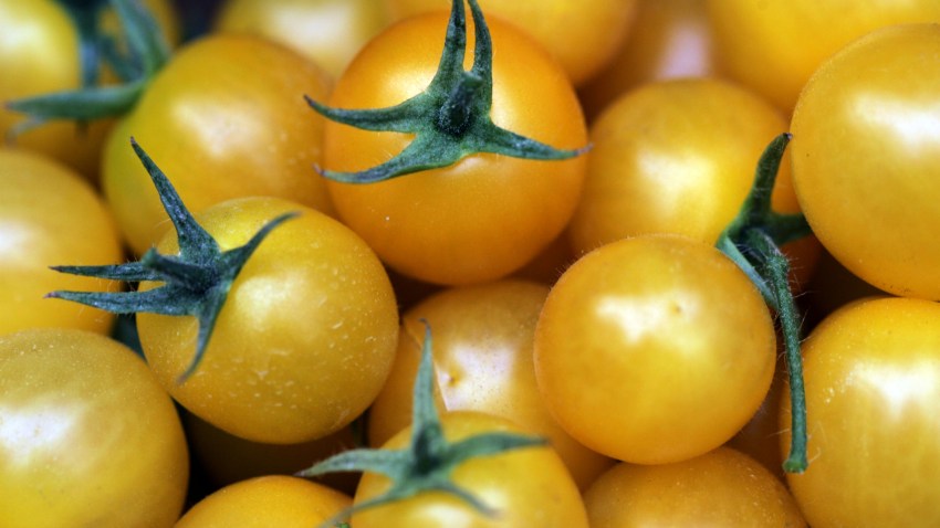 73298325DS003_tomatoes