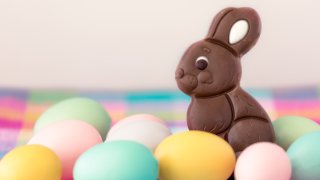 Chocolate Easter bunny