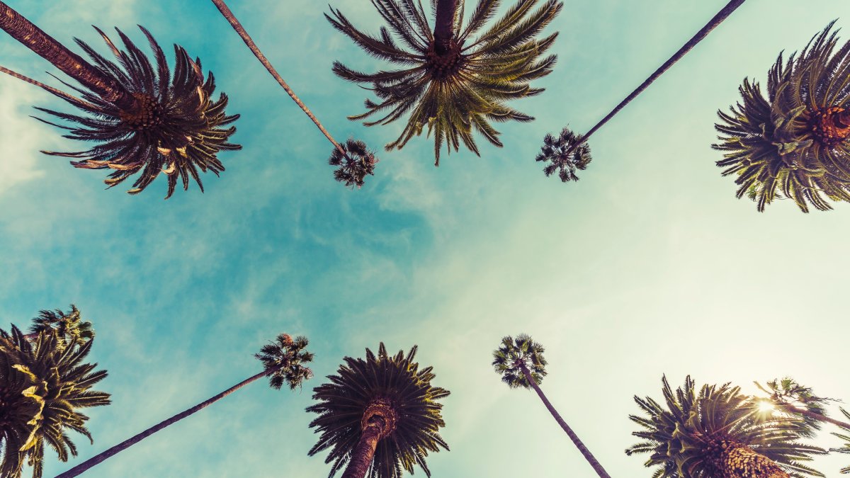 San Diego Weather: Mid-October Warm-Up on the Way – NBC 7 San Diego - Vimarsana News