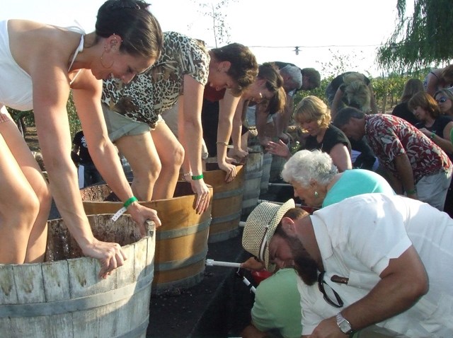 Grape Stomp 2009