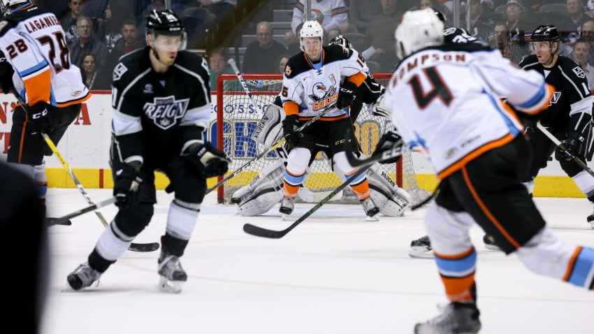 Gulls - Reign at Home