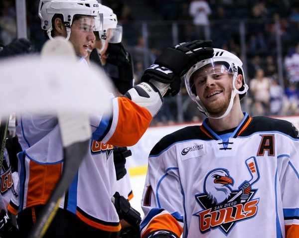 Gulls Wagner