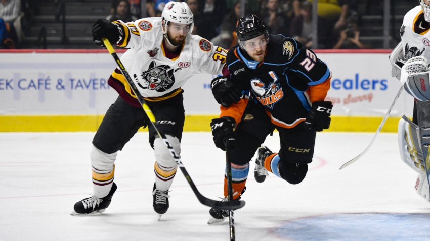 Gulls - Wolves Game 5