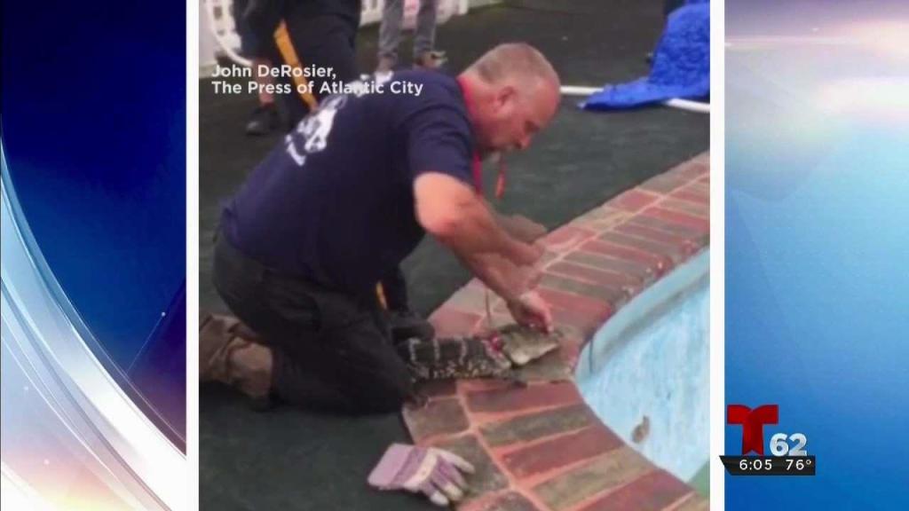 Https Www Nbcsandiego Com Local Early Am Web Wx Jodi Thur San Diego 3 23605 Jodi Kodesh S Am Forecast For August 31 2017 Jodi Kodesh S Am Forecast For August 31 2017 Https Www Nbcsandiego Com Video Layout Amp Video Noid 1 13