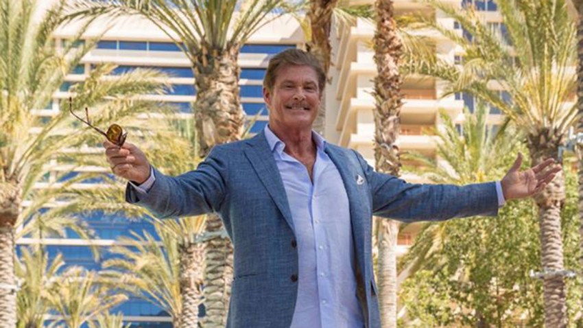 Hasselhoff-Harrahs
