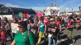 Woman's March 2020