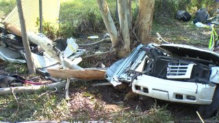 Car in Bushes