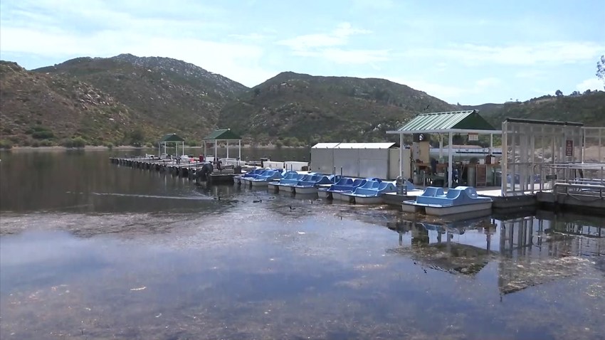 LAKE-POWAY-DEAD-FISH