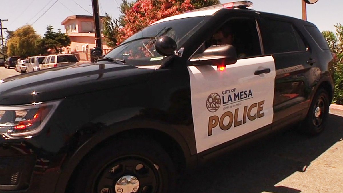 Man Pleads Guilty to La Mesa Hit-and-Run Death of College Student – NBC ...