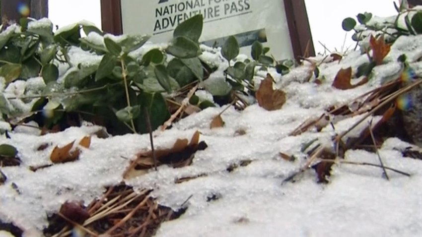 Laguna-Mountain-Snow-1122