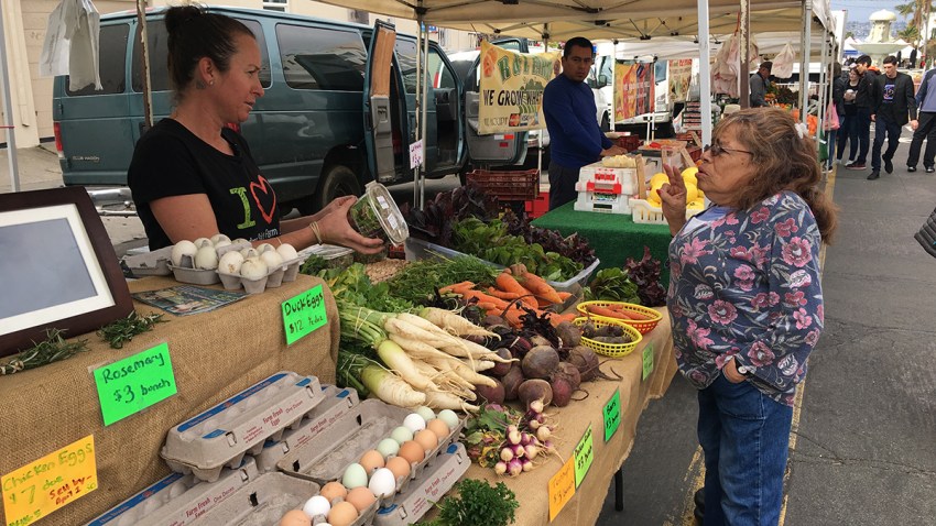 Little-Italy-Farmers-Market-Ceighlee
