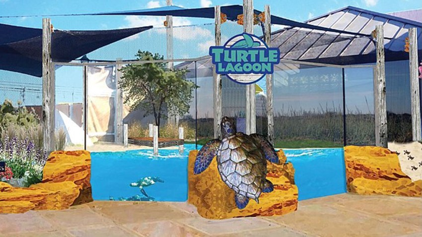 Living_Coast_Turtle_Lagoon_t620