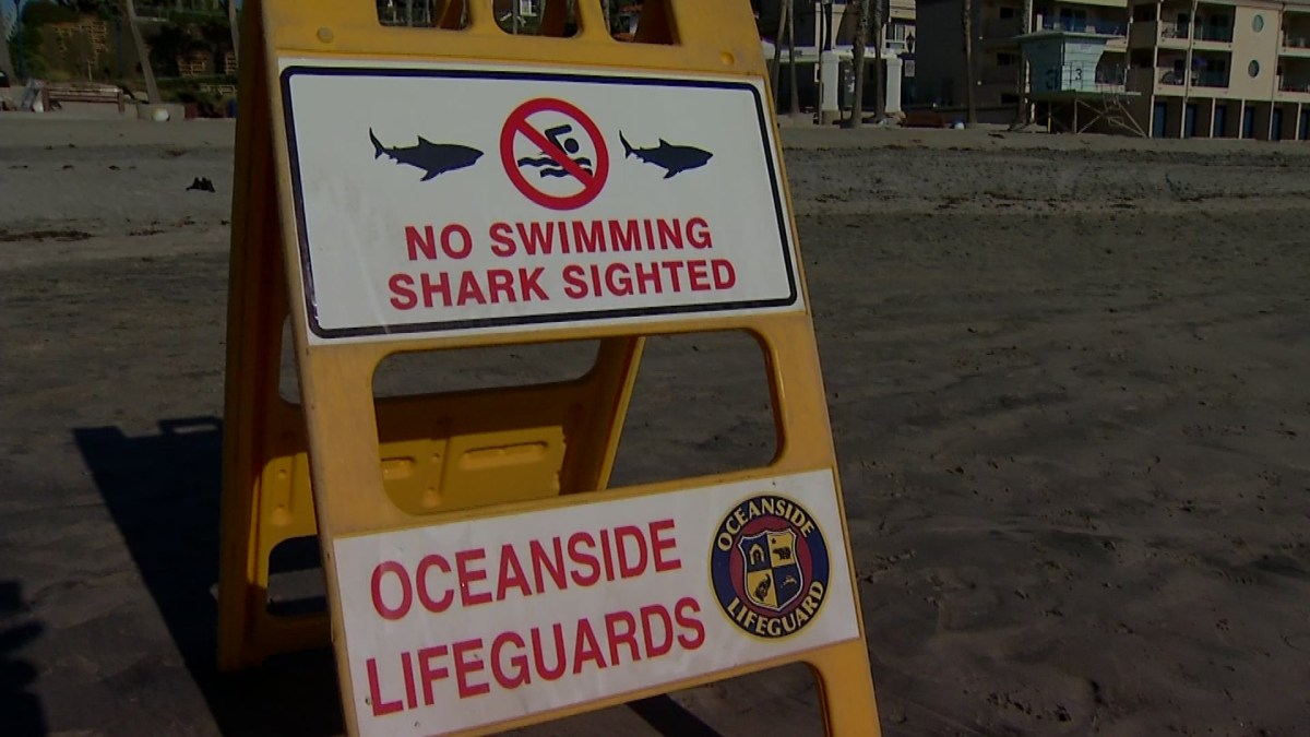 Shark Sighting Prompted Closure of Oceanside Pier, Beach NBC 7 San Diego