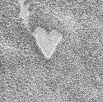 "The Mars Global Surveyor (MGS) Mars Orbiter Camera (MOC) captured this unique view of a bright, heart-shaped mesa in the south polar region on November 26, 1999. This feature is located in the Promethei Rupes region near 79.6°S, 298.3°W. Sunlight illuminates the scene from the lower left. The heart is about 255 meters (279 yards) across. The presence of this mesa indicates that the darker, rough terrain that surrounds it was once covered by a layer of the bright material." Released in 2000.