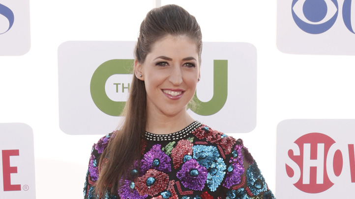 2012 TCA Summer Tour - CBS, Showtime And The CW Party