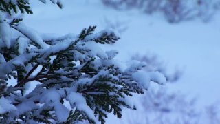 Mount-Laguna-Snow-Shane-122915_3