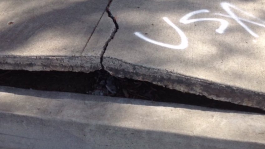 A cracked, uneven sidewalk in San Diego.