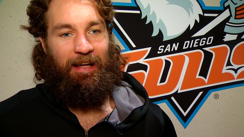 N6PT PKG GULLS BEARDS_KNSD8GV6