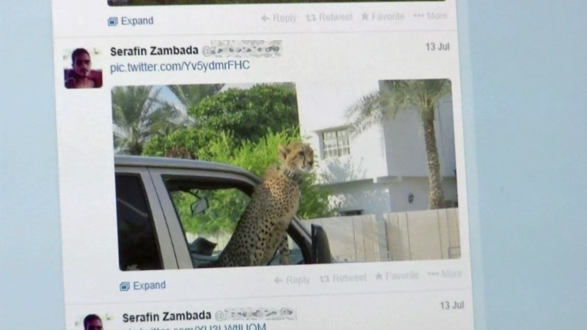 NEWCartelTwitter