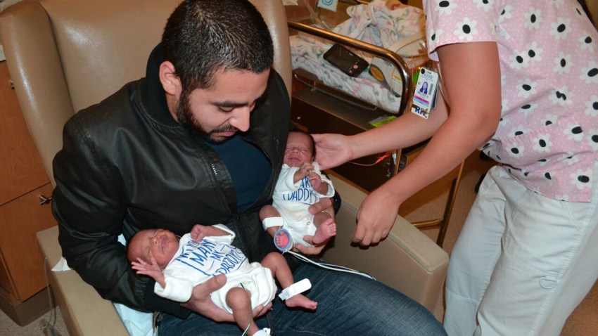 Nicu-Proposal-1