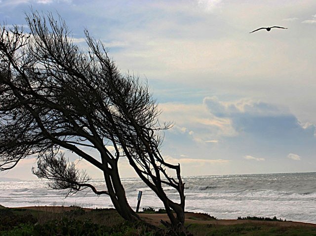 Oceanside-Isee-030110