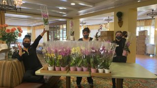 Some members of La Costa Glen distributing orchids on Friday from Westerlay.