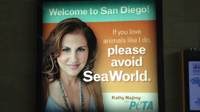 PETA-Airport-No-SeaWorld-San-Diego
