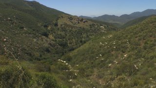 A green valley and a blue sky