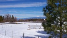 Palomar-Mountain-Snow-April