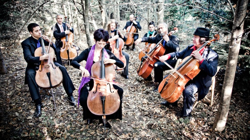 Portland Cello Project Press Photo