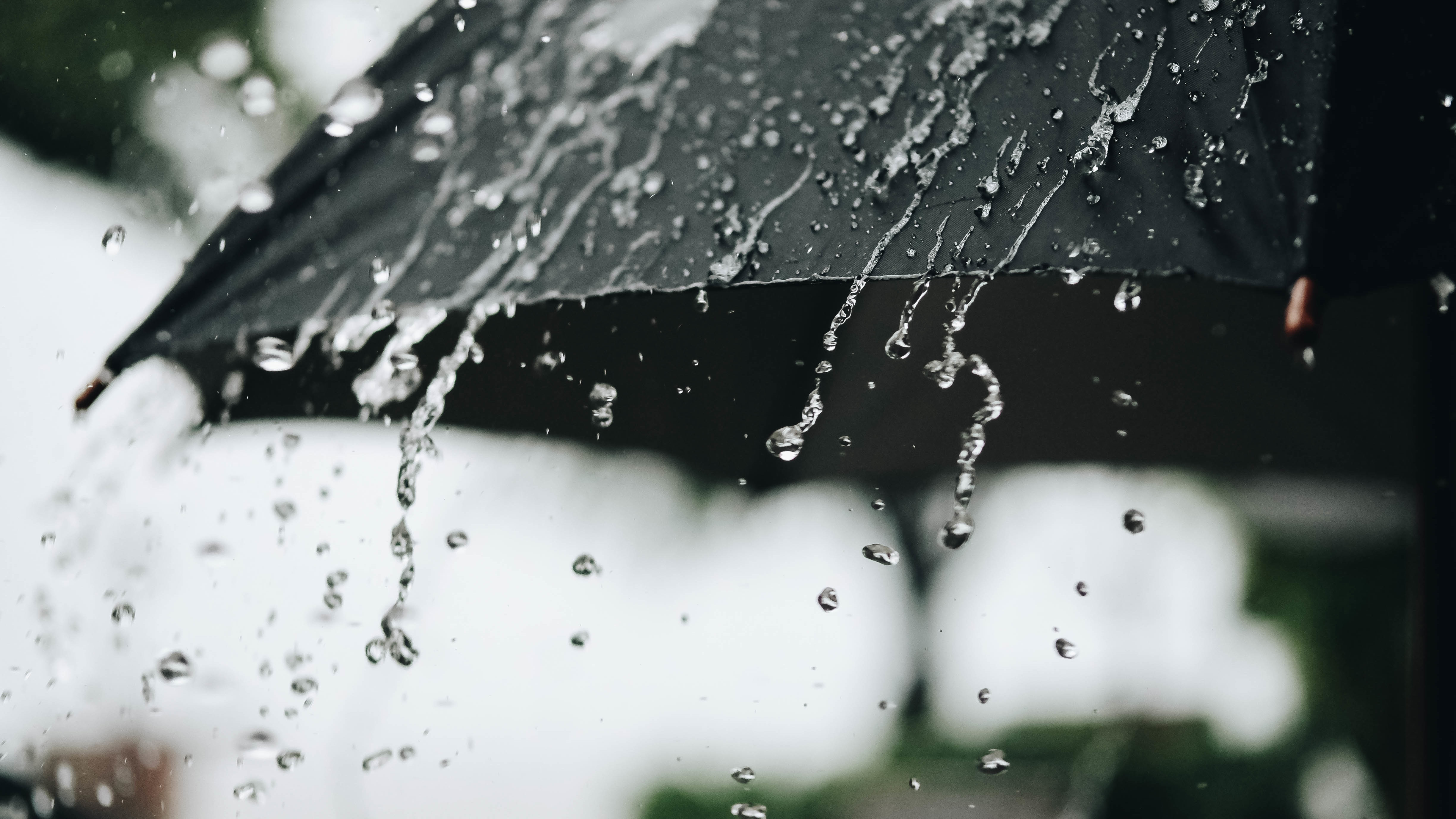 Some San Diegans got nearly 2 inches of rain on Tuesday — how did you do?