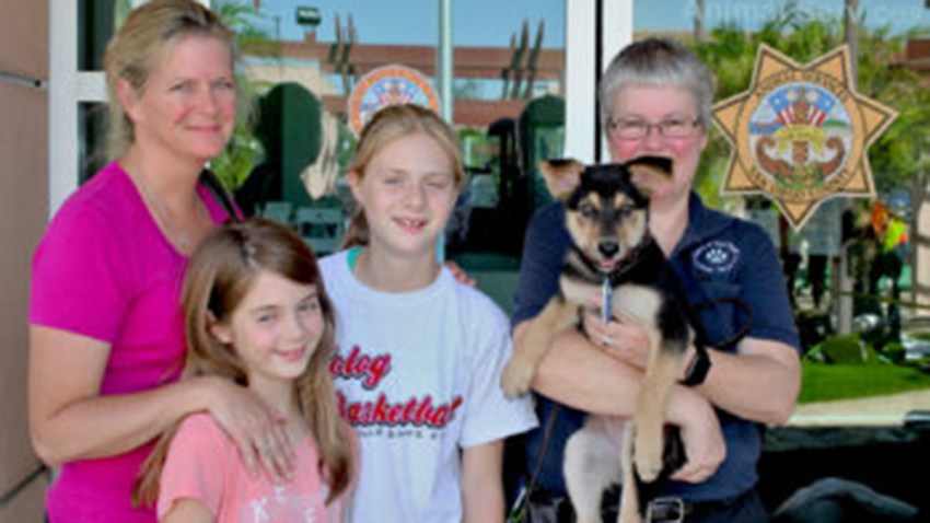 RavinePuppy_Family_LoriHite1_1600px-350x251