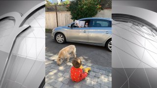 San Diego grandma Marie DeNies, reads her grandson his favorite book, from a distance.