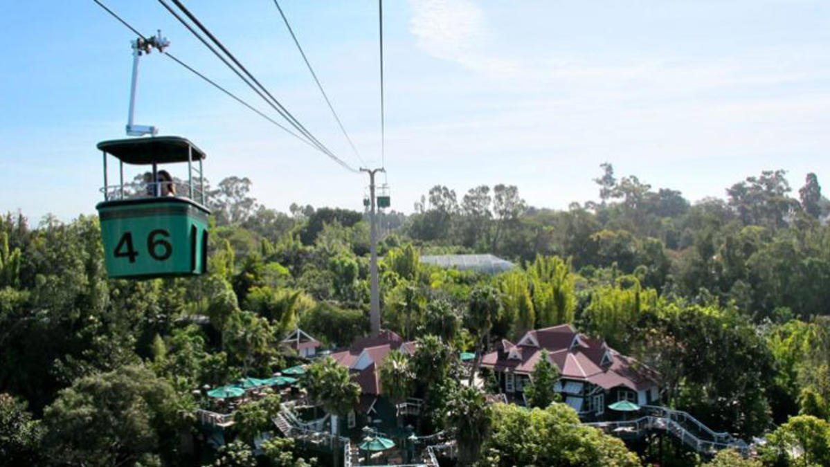Marines Accused of Stranding San Diego Zoo Ride Passengers Due in Court - Vimarsana News