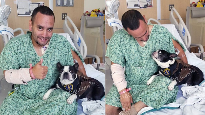 SDPD Francisco Roman chopper the biker dog