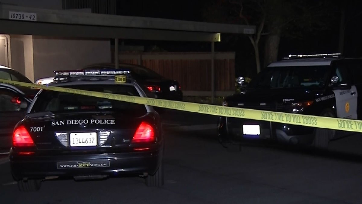 Arrest Made More Than a Year After Driver Found Shot in Bay Terraces ...