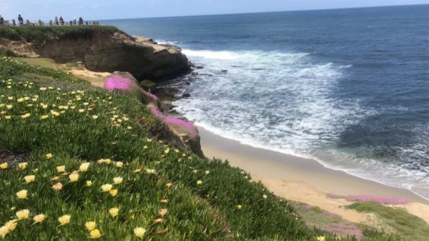 SDSUStudentProjectLa-Jolla-Coves