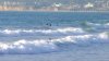 Elevated surf, dangerous rip currents affecting San Diego coast