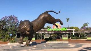 An image of the San Diego Zoo entrance.