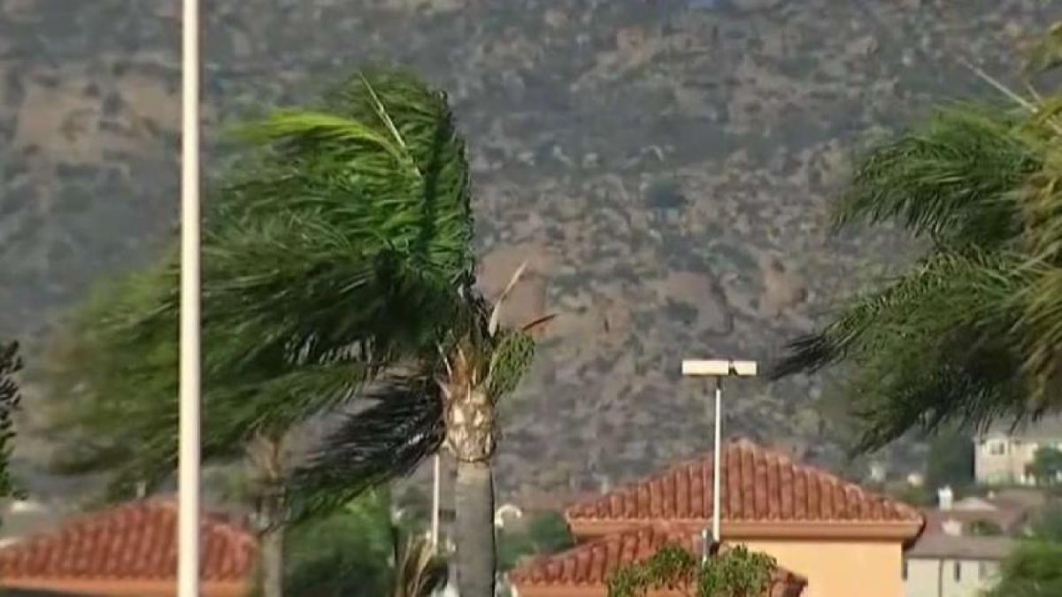 Fire danger increases as Santa Ana winds pick up in San Diego County ...