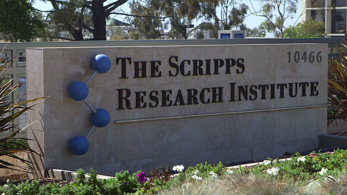 Scripps Research Institute Receives Graduate Program Donation NBC 7