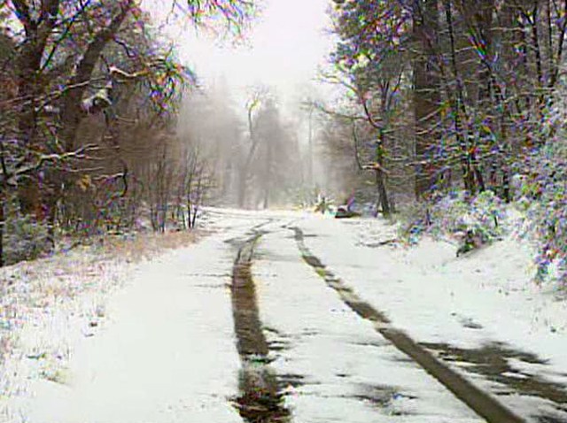 Snow on Mount Laguna