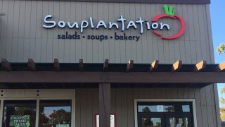 Souplantation