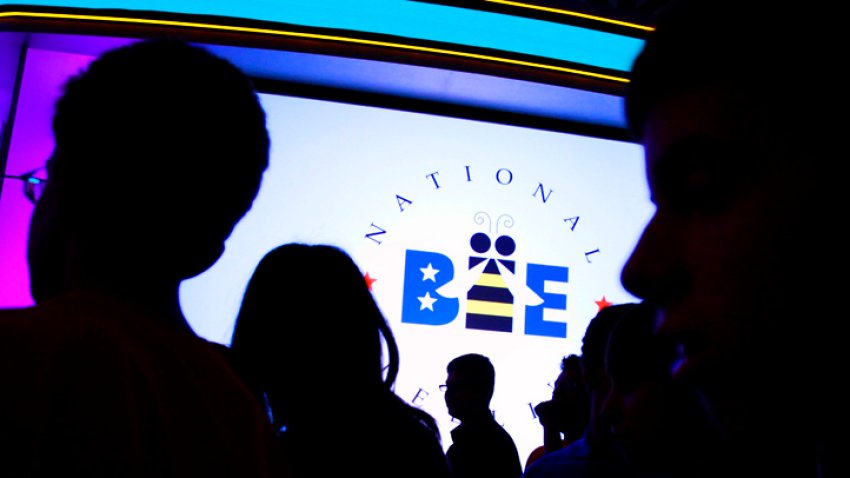 National Spelling Bee