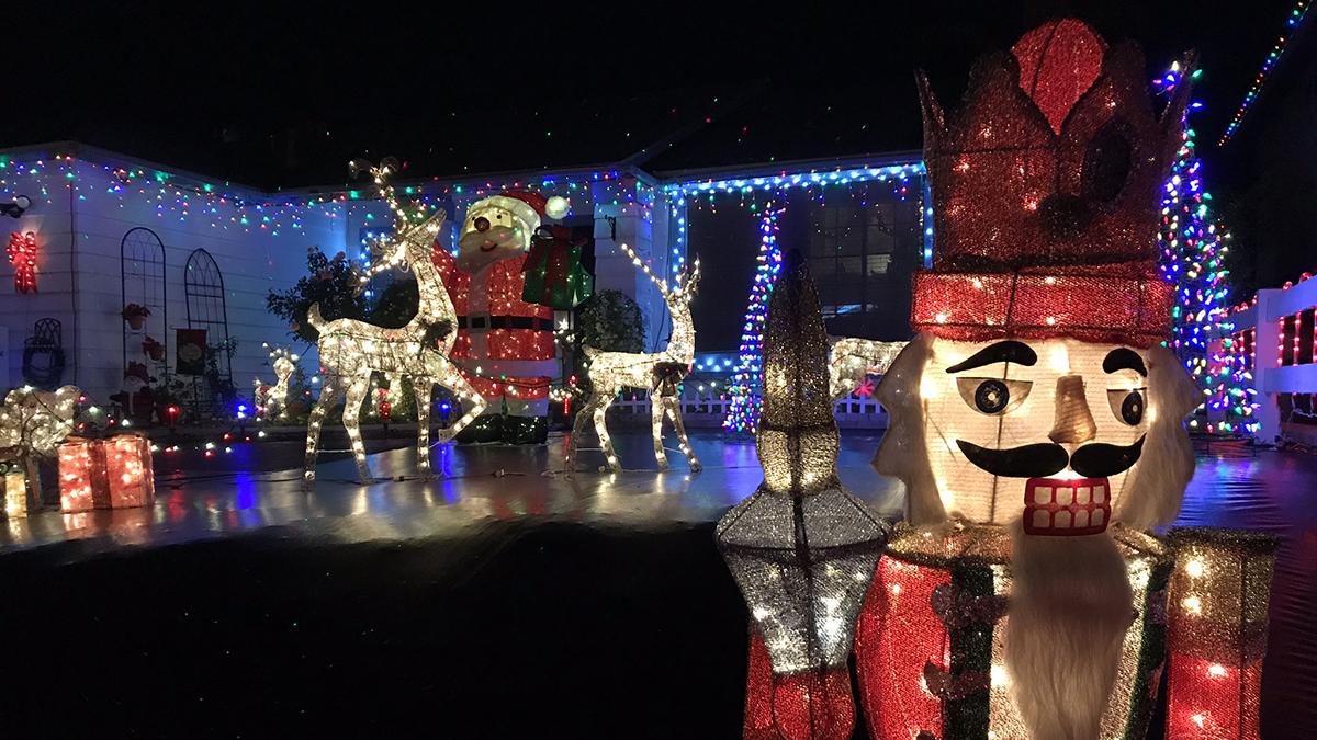Santee Cooper Christmas Lights 2025