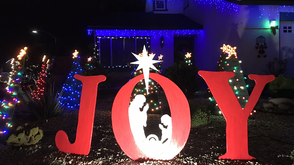 Santee Cooper Christmas Lights 2025