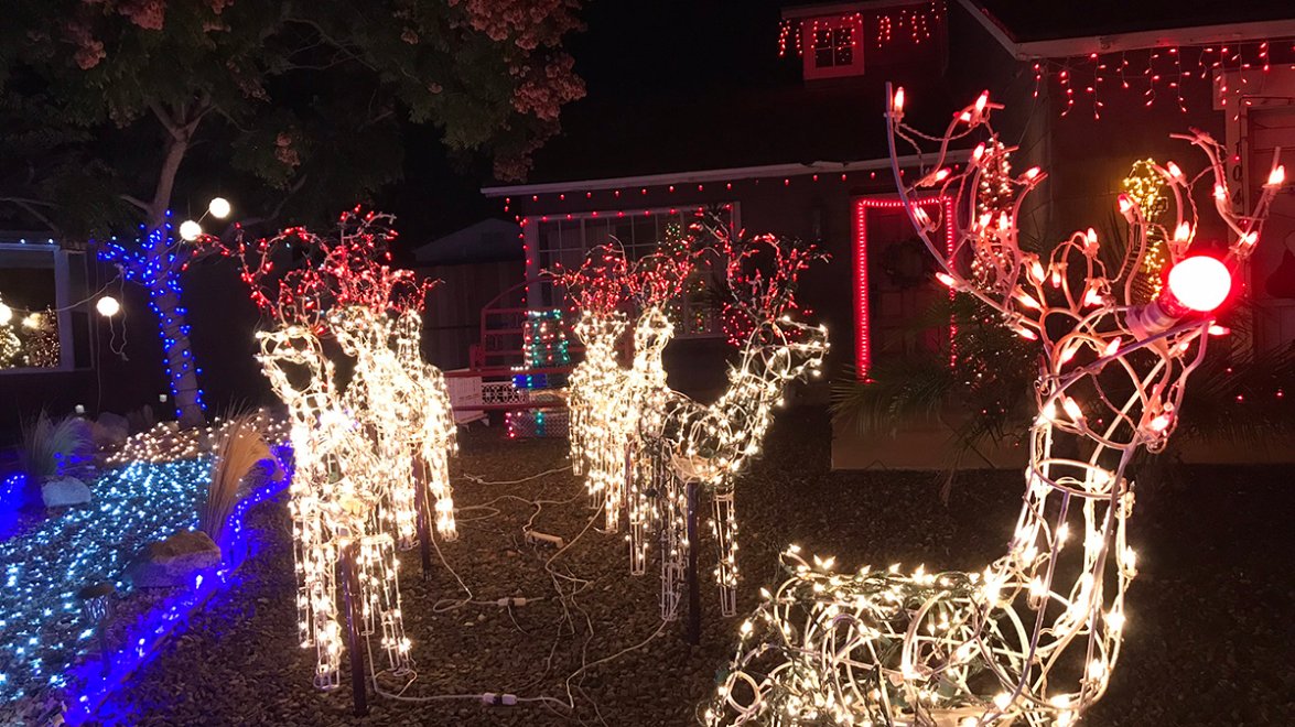 Photos: Starlight Circle in Santee Among Must-See Holiday Light ...